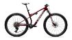 Изображение S-Works Epic 9 (SRAM XX SL, RockShox Ultimate Flight Attendant)