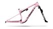 Изображение S-Works Epic 9 Frameset (RockShox Ultimate Flight Attendant)