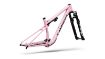 Изображение S-Works Epic 9 Frameset (RockShox Ultimate Flight Attendant)