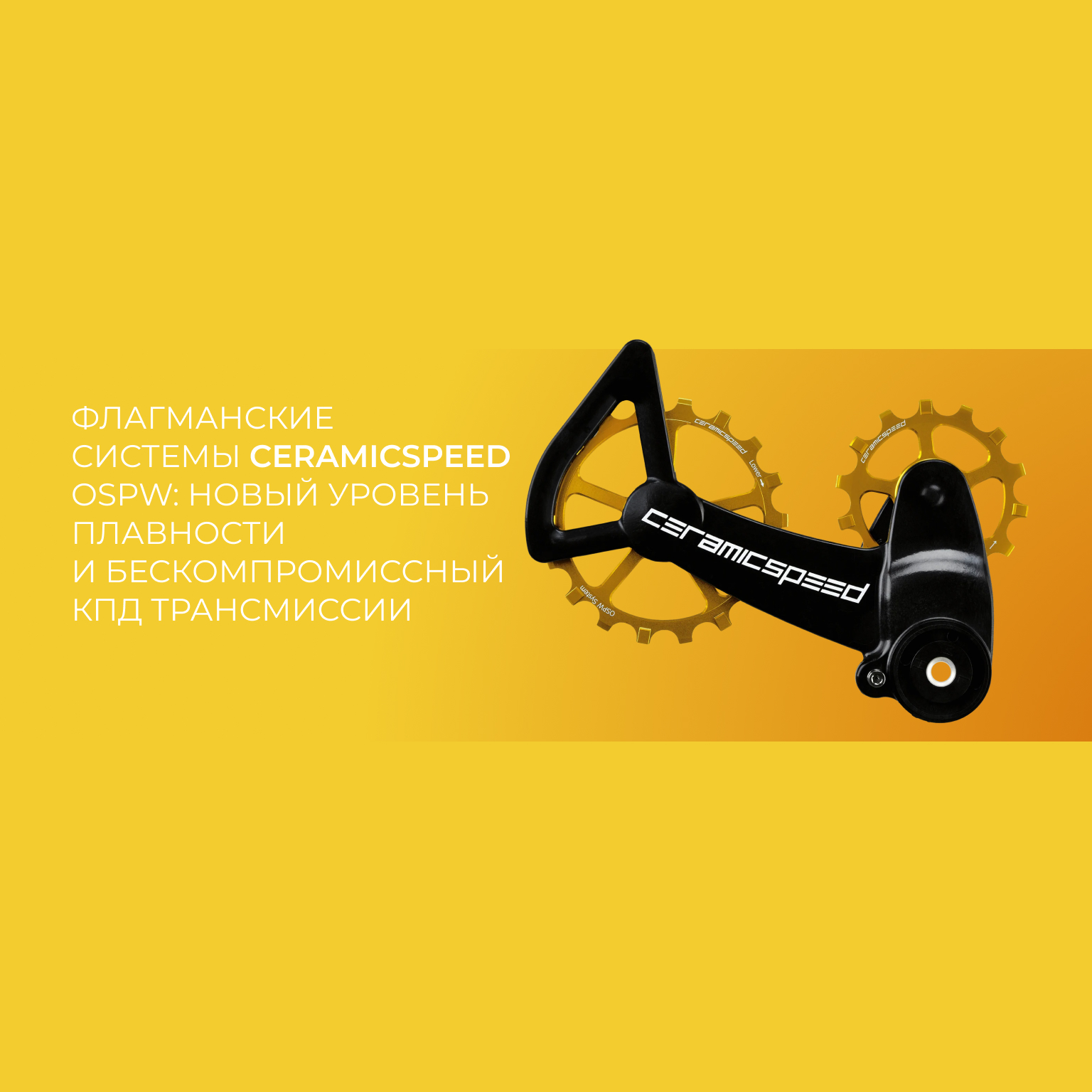 Изображение для категории Системы OSPW