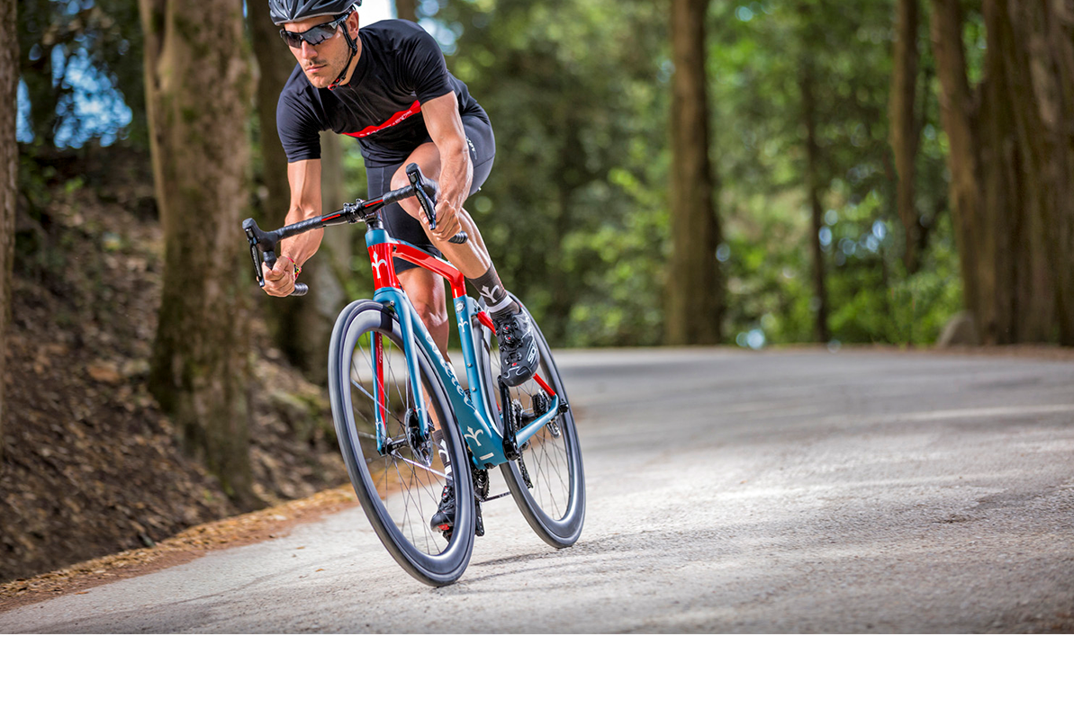 Picture for category Wilier 2019